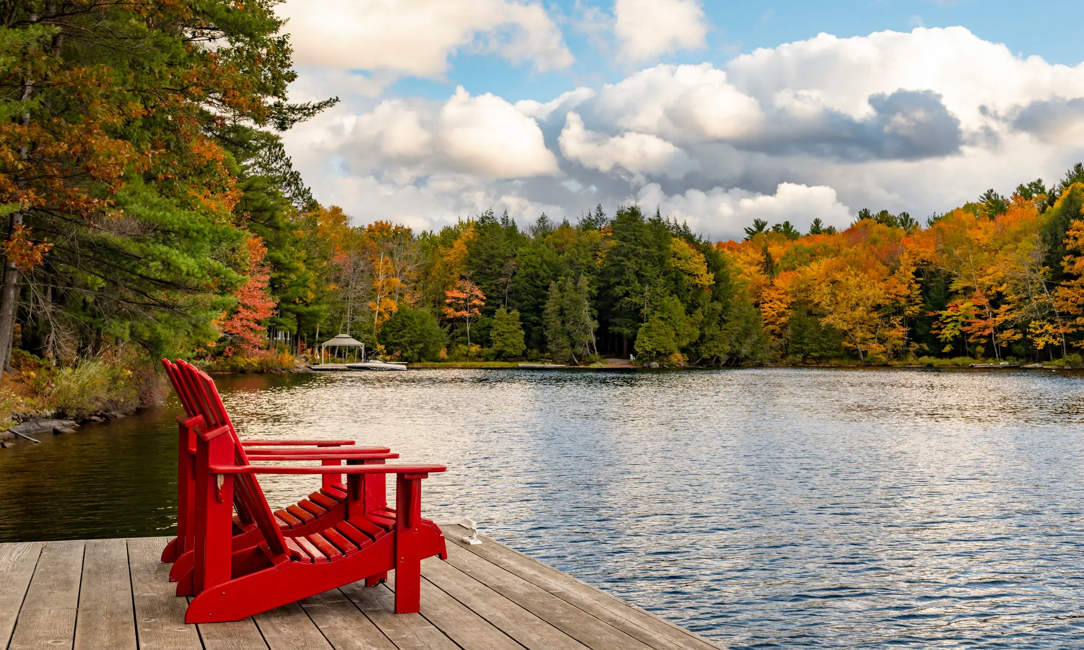Muskoka chauffeur service